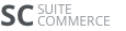 MSI Viking logo